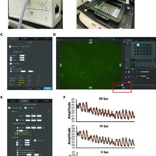 EVOS FL Auto 2 Microscope Set Up For Live Calcium Imaging Acquisition