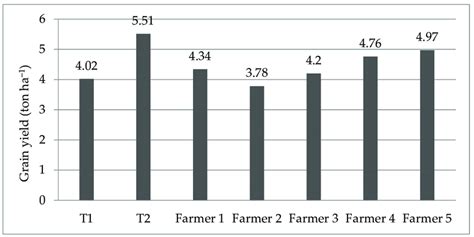 Comparison Of Research Grain Yields Ton Ha −1 And Yields From Local