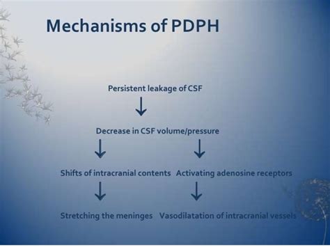 Post Dural Puncture Headache Ppt