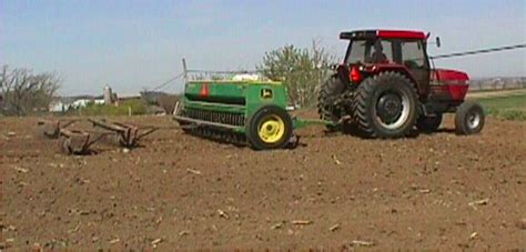 Determining the Optimum Alfalfa Seeding Rate – Team Forage