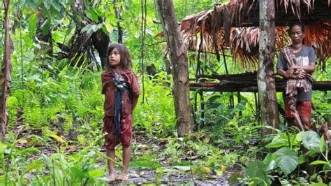 Misteri Suku Togutil Dan Pembunuhan Berantai Di Hutan Halmahera