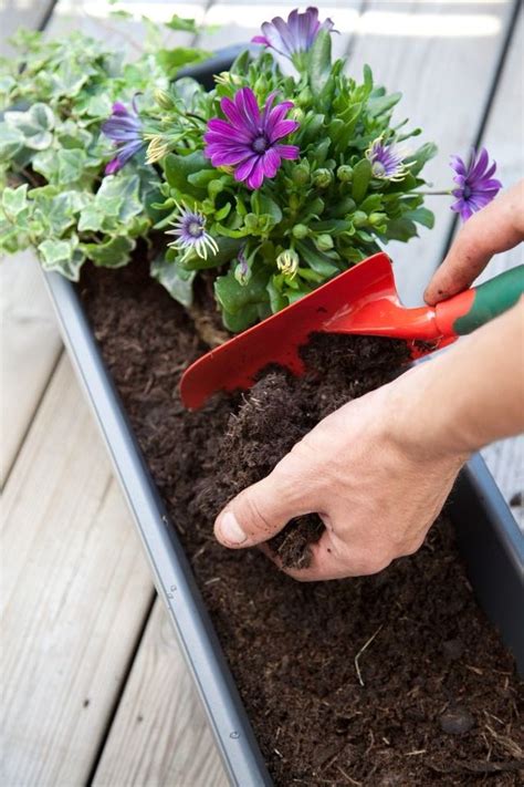 Composer Une Jardini Re De Fleurs Sur Son Balcon C T Maison