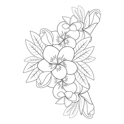 Frangipani Flower Doodle Coloring Page Outline Vector Illustration Of