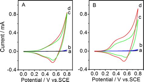 Cyclic Voltammograms Of Bare Gce A Ce Mofgce B Cuonpsgce C Download Scientific