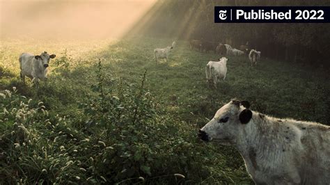 Federal Governments 20 Billion Embrace Of ‘climate Smart Farming