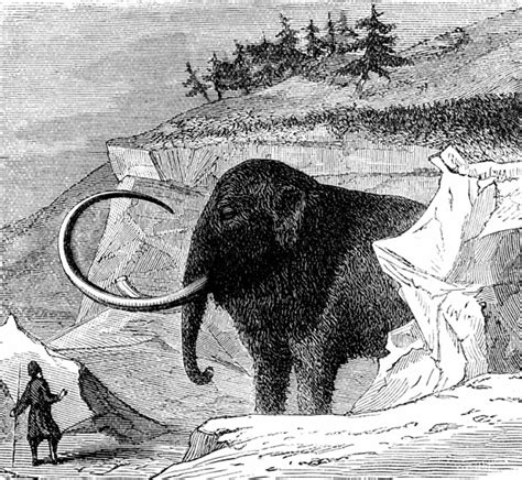 Science Might Bring Back Woolly Mammoths Through Cloning