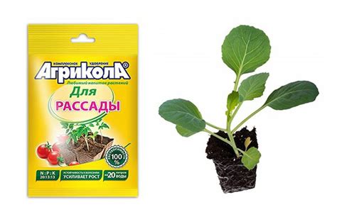 Агрикола для рассады. Для силы и роста ДОСТОИНСТВА: Баланс ...