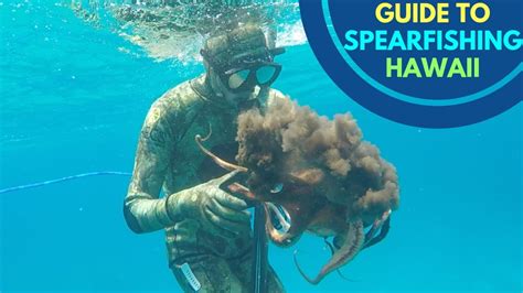 Spearfishing Hawaii Basics Whats The Best Diving Conditions Youtube