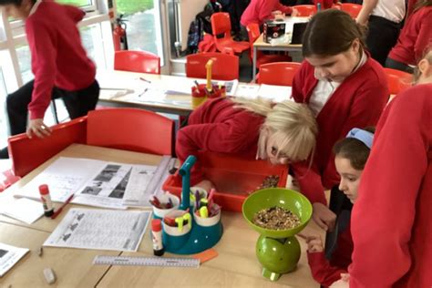 Survival Of The Fittest Broadbent Fold Nursery And Primary School