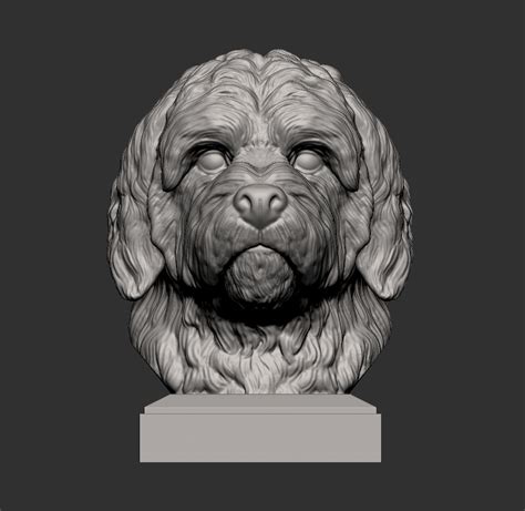 Stl File Goldendoodle Bust 👤 Obj・3d Printing Design To Download・cults