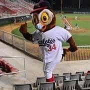 The Owl | Mascot Hall of Fame