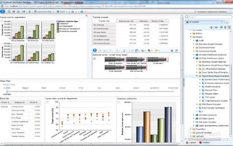 什么是 IBM Cognos Business IntelligenceIBM开发