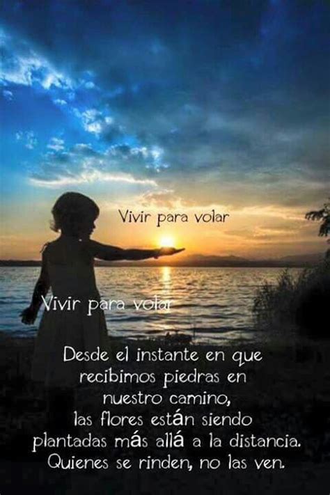 Frases Y Citas Vivir Para Volar Volar Imagenes De Vivir