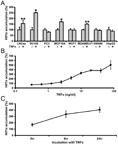 TNFa Induced Nuclear Accumulation Of The HIF 1a Transcription Factor