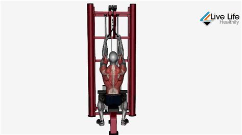 Lat Pulldown How To Tips And Benefits For A Strong Back