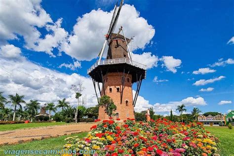 Cidade Das Flores Quando Ir Como Chegar Onde Ficar E O Que Fazer Em