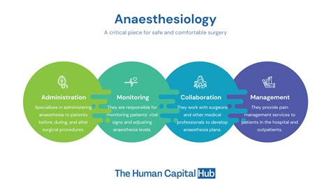 Anaesthesiologist Job Description