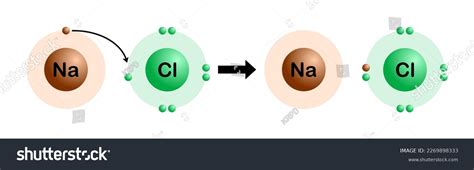 Vector Illustration Sodium Chloride Formation By Stock Vector Royalty