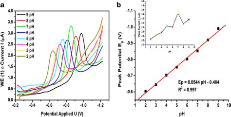 Fabrication Of Electrochemical Nanosensor Based On Polyaniline Film