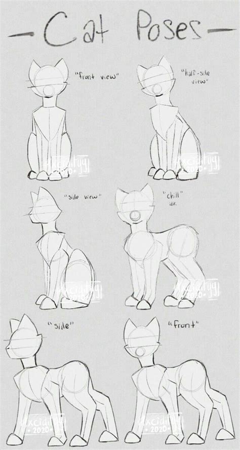 Pin By Cintia On Poses In 2024 Cat Drawing Tutorial Cat Drawing