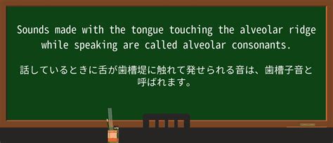 【英単語】alveolar Ridgeを徹底解説！意味、使い方、例文、読み方 おもしろい英文法
