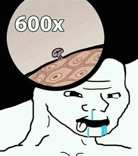Pin De Ieva Em Brainlet Imagens Hilárias Imagens Aleatórias Memes