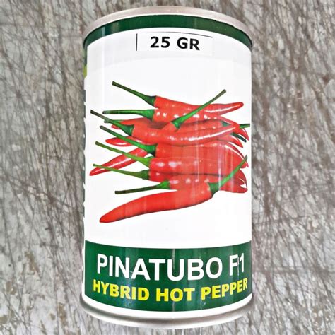 PINATUBO F HYBRID HOT PEPPER CHILI SILING LABUYO SEEDS GRAMS By CONDOR Lazada PH