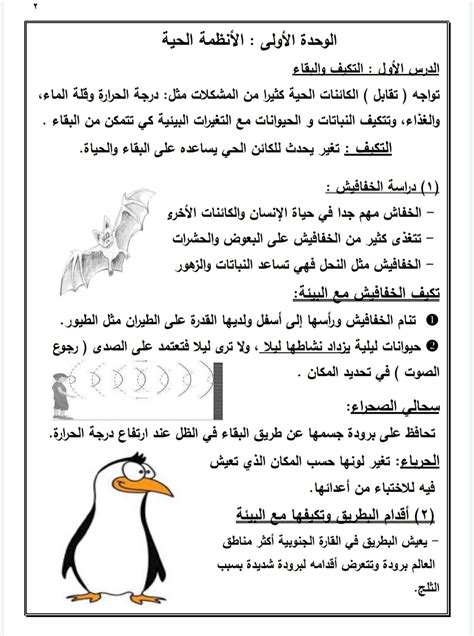 مذكرة علوم للصف الرابع الابتدائى الترم الاول منهج 2024، أحدث مذكرة علوم