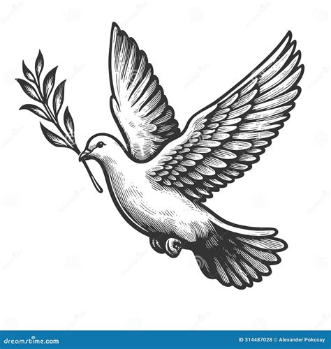 Peace Dove With Olive Branch Engraving Vector Stock Vector