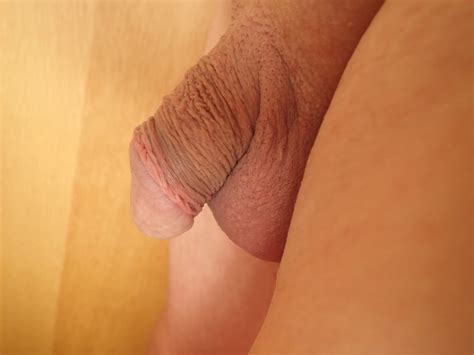 Close Up Of My Penis 41 Nude Pics XHamster