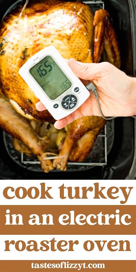 Cooking a turkey in a roaster – Artofit