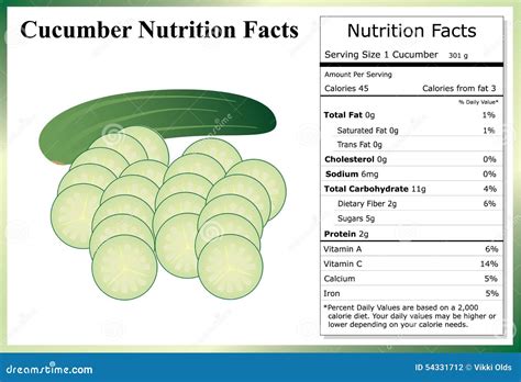 Cucumber Nutrition Facts And Health Benefits Infographic Cartoon Vector | CartoonDealer.com ...