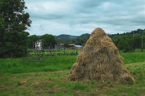 Pilas De Heno Aireando Sobre Un Marco De Madera En Un Trozo De Pasto