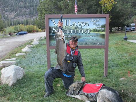 Twin Lake Upper Fish Report Bridgeport Ca Mono County