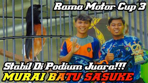 AKSI MURAI BATU SASUKE SIKAT JUARA 3 DI IVENT RAMA MOTOR CUP 3 TETAP