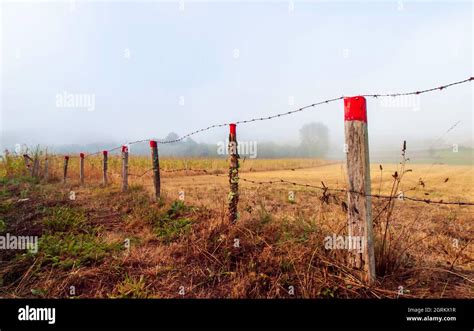 Typical Galician landscape with fog at dawn Stock Photo - Alamy