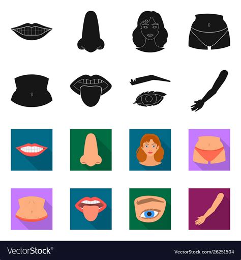 body  part symbol royalty  vector image