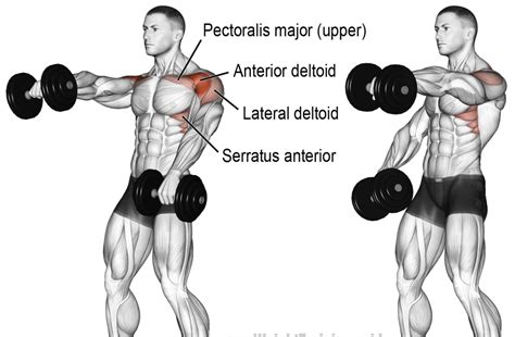 10 Best Shoulder Exercises For Beginners 2024