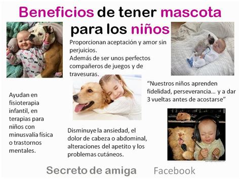 LOS BENEFICIOS DE TENER PERRO Secretodamiga