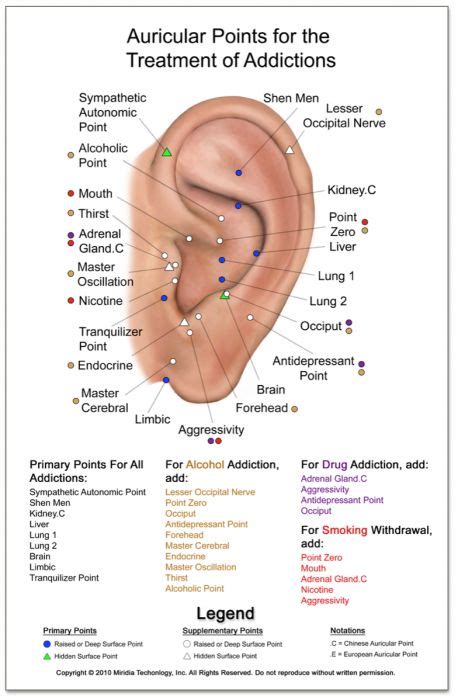 Ear Seed Placement Chart