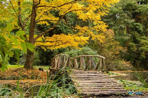 Feerie De Toamnă în Parcul Dendrologic Din Simeria Go Hunedoara