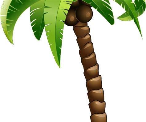 Download Coconut Tree Cartoon Cartoon Palm Tree Png Clipartkey