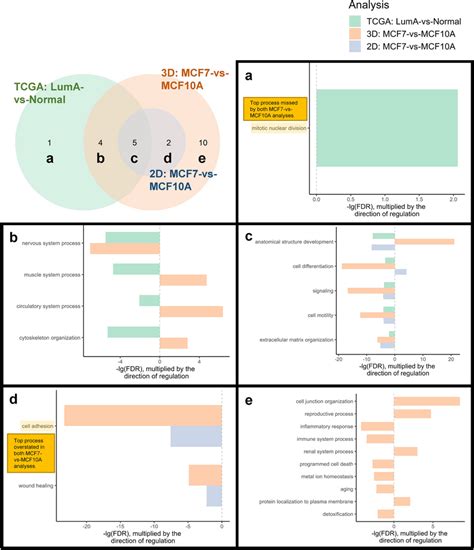 Venn Analysis And Overrepresented Gene Sets A Gene Sets Which Were