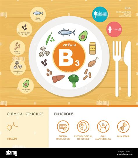 Vitamin B3 Nutrition Infographic With Medical And Food Icons Diet Healthy Food And Wellbeing