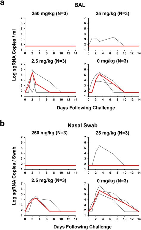 Viral Loads Following Prophylactic Adoptive Transfer Of Igg Prior To