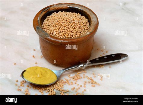 Mustard Greens Hi Res Stock Photography And Images Alamy