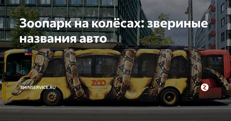 Зоопарк на колёсах: звериные названия авто | ШИНСЕРВИС Shinservice.ru ...