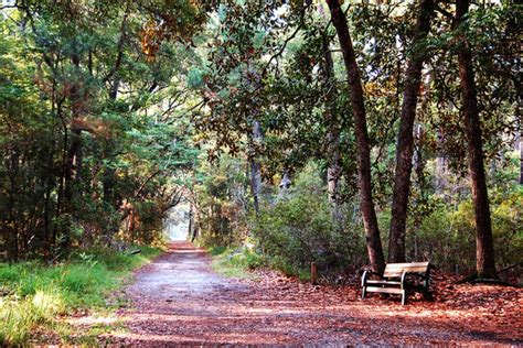 Skidaway Island State Park: Savannah Attractions Review - 10Best Experts and Tourist Reviews