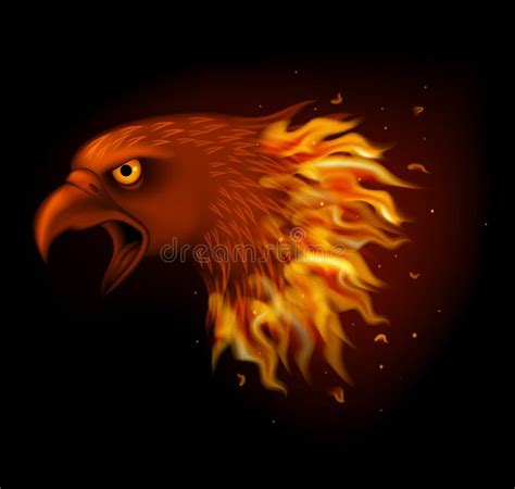 Fire Eagle Head Isolated On Black Background Stock Vector