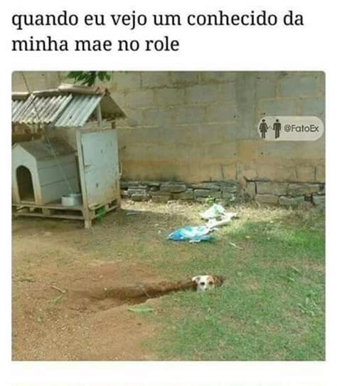 Pin de Jυlια Arαυjo em Meme Imagens divertidas Coisas engraçadas